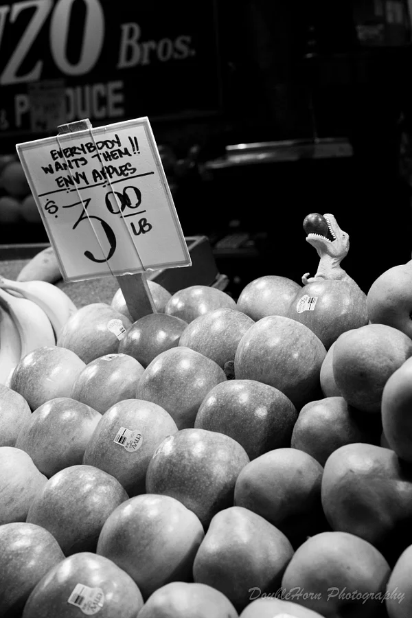 T-Rex Pike Place Market