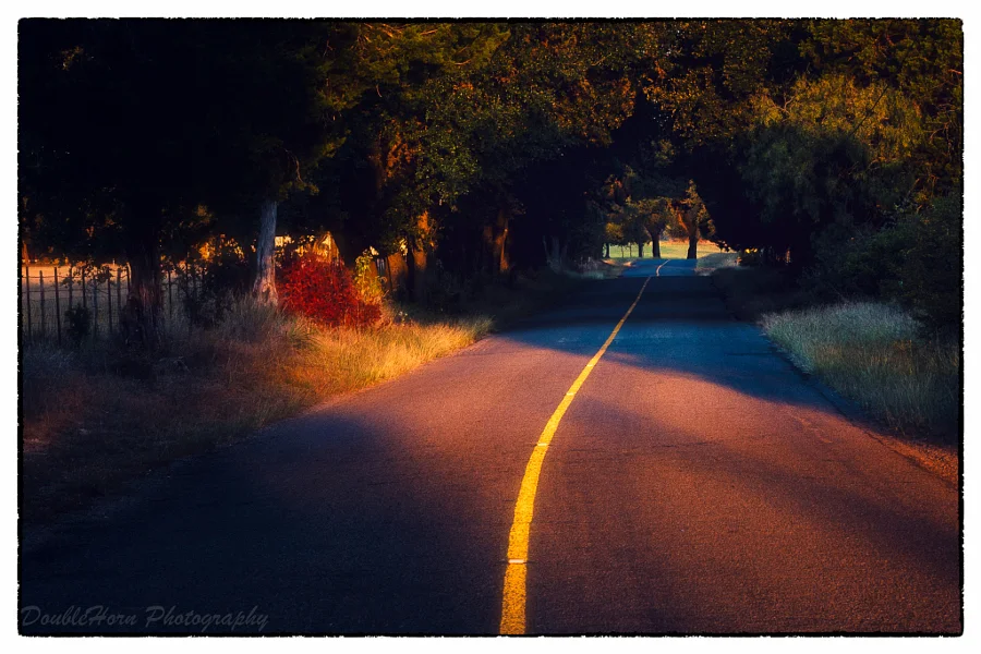 CR401 Morning