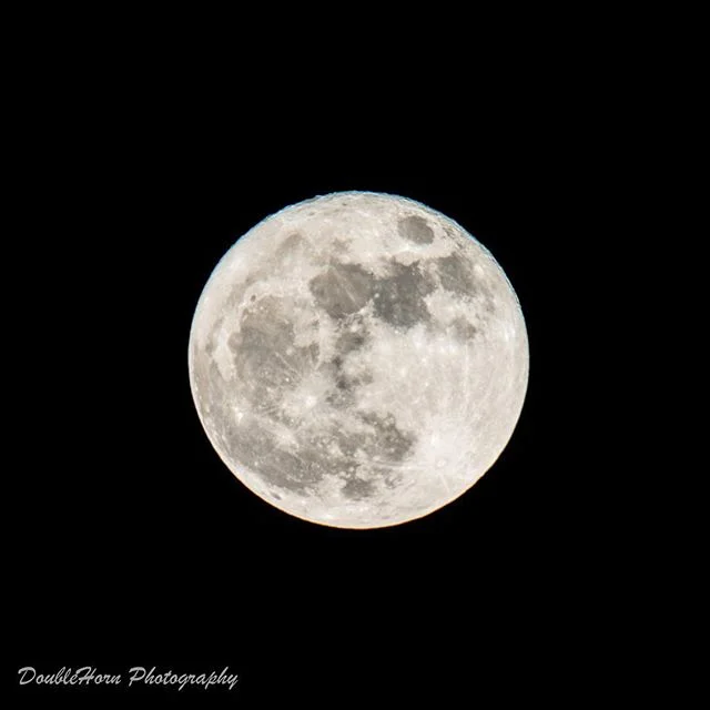 If you're a photographer on Instagram you gotta have one!#obligatorysupermoonphoto #supermoon2016 #supermoon #space #perigee #photography #astrophotography #astronomy #moon #fullmoon #d800 #nikon