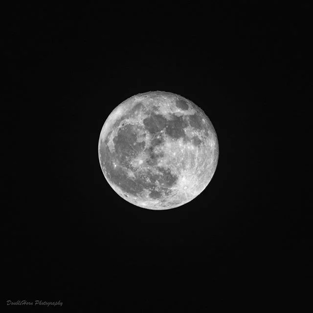 How about that Hunter's Super Moon last night?  Pretty amazing stuff! #huntersmoon #supermoon #supermoon2016 #moon #fullmoon #photography #nikon #d800 #astronomy #astrophotography #space