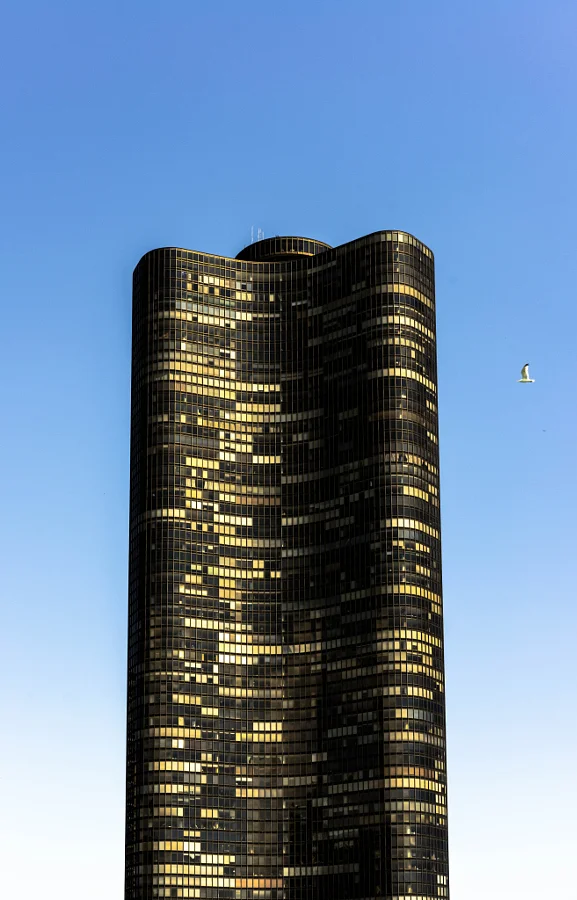 5,000 Windows With a Seagull